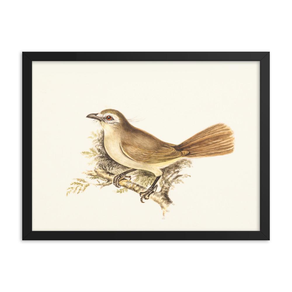 Lerche - Poster im Rahmen schwarz / 30x41 cm artlia