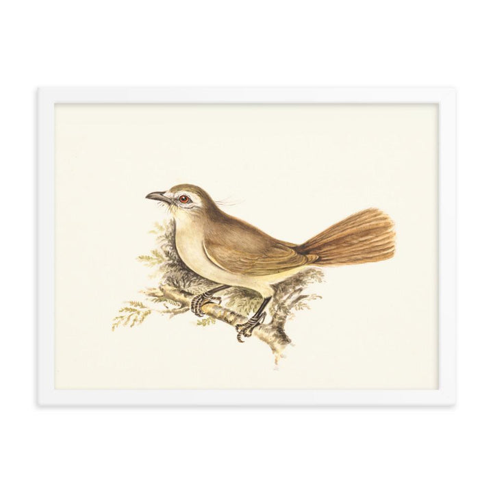 Lerche - Poster im Rahmen weiß / 30x41 cm artlia