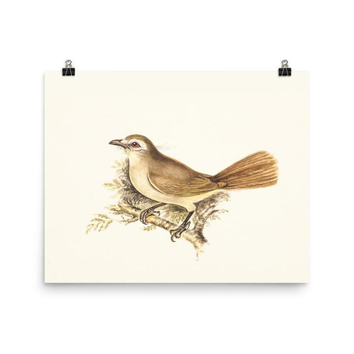 Lerche - Poster 20x25 cm artlia