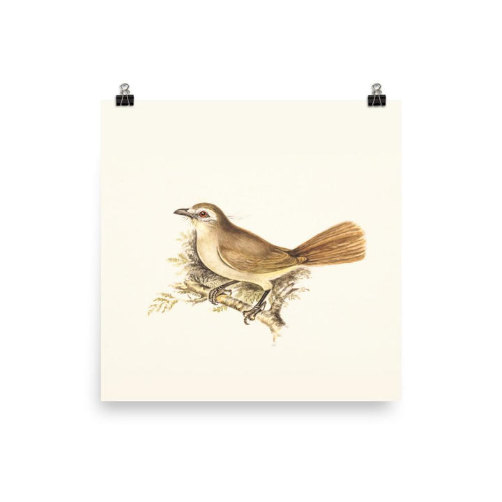 Lerche - Poster 25x25 cm artlia