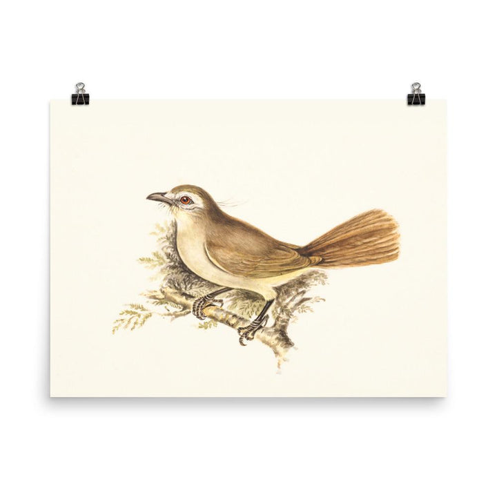 Lerche - Poster 30x41 cm artlia