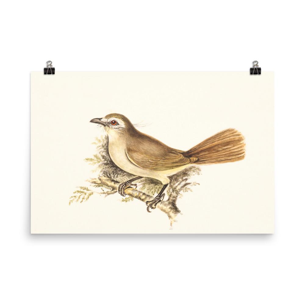 Lerche - Poster 30x45 cm artlia