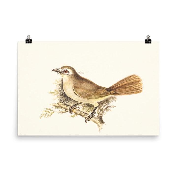 Lerche - Poster 30x45 cm artlia