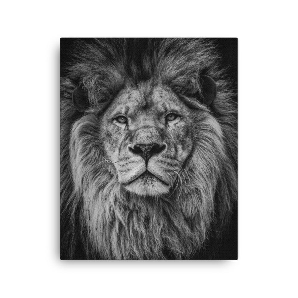 Löwe - Leinwand 41x51 cm artlia