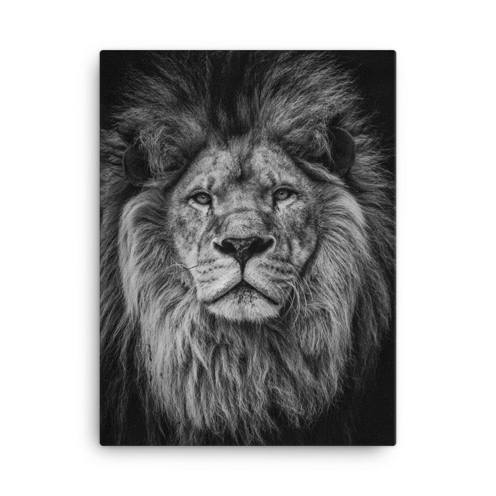 Löwe - Leinwand 30x41 cm artlia