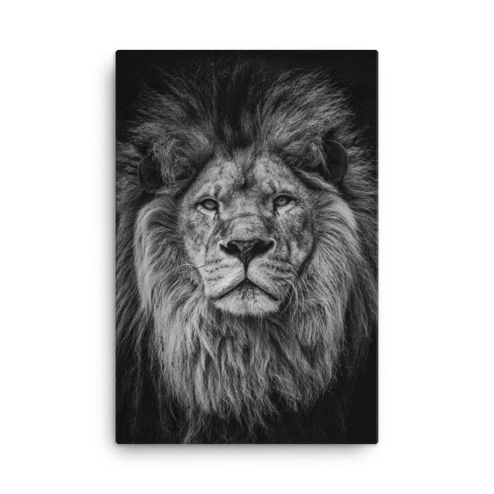 Löwe - Leinwand 61x91 cm artlia
