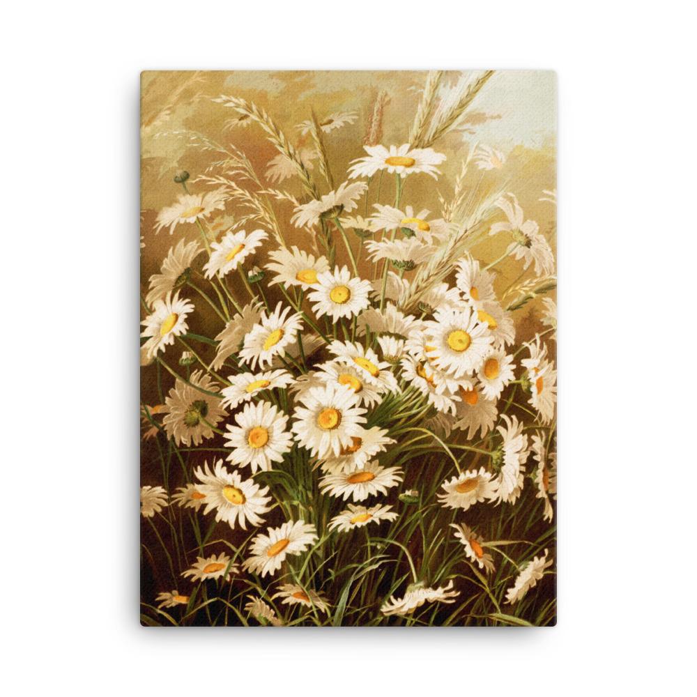 Margeriten - Leinwand 30x41 cm artlia