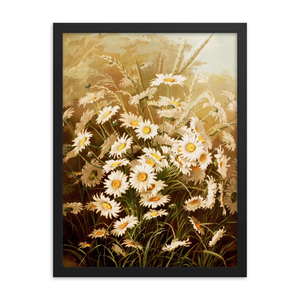 Margeriten - Poster im Rahmen schwarz / 30x41 cm artlia
