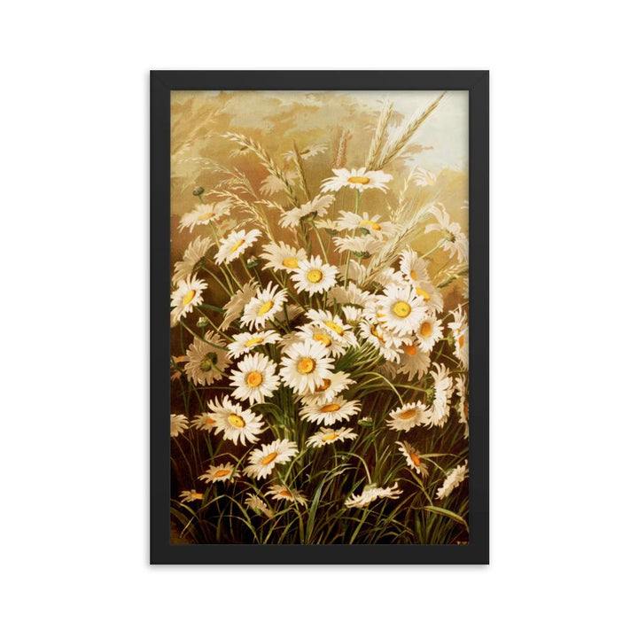Margeriten - Poster im Rahmen schwarz / 30x45 cm artlia