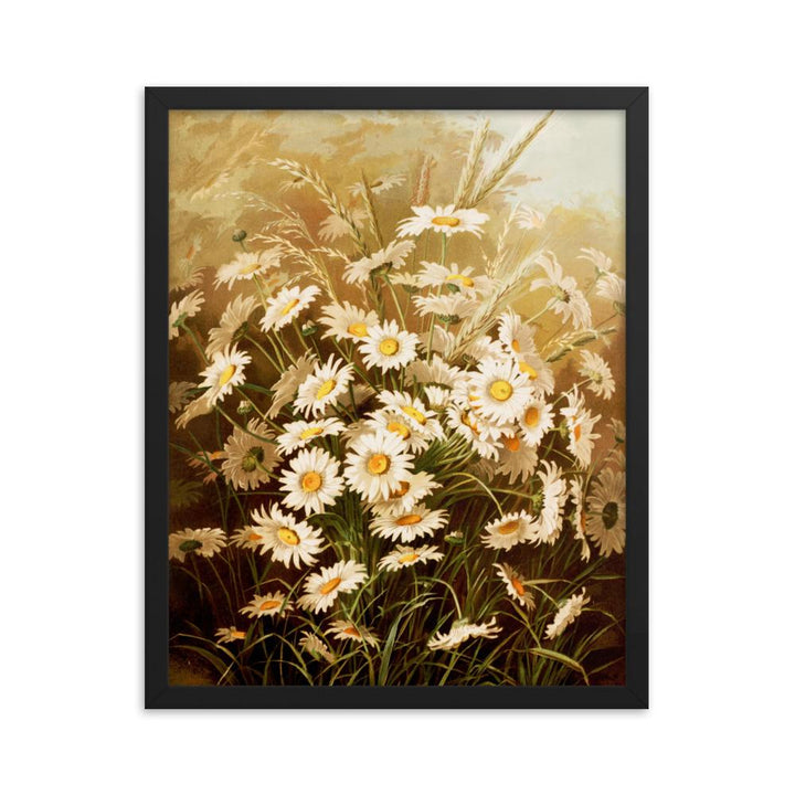 Margeriten - Poster im Rahmen schwarz / 41x51 cm artlia