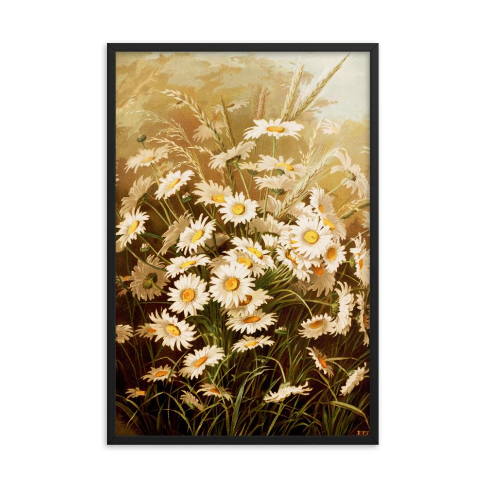 Margeriten - Poster im Rahmen schwarz / 61x91 cm artlia