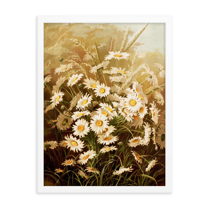 Margeriten - Poster im Rahmen weiß / 30x41 cm artlia