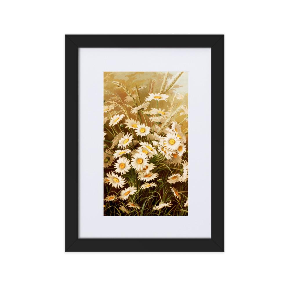 Margeriten - Poster im Rahmen mit Passepartout schwarz / 21×30 cm artlia