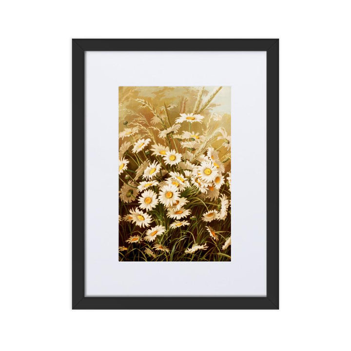 Margeriten - Poster im Rahmen mit Passepartout schwarz / 30×40 cm artlia