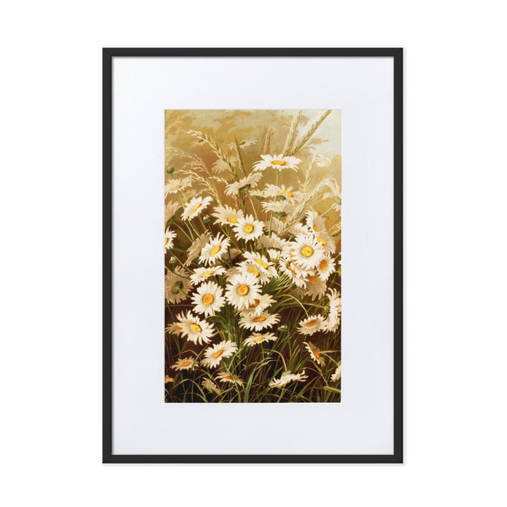 Margeriten - Poster im Rahmen mit Passepartout schwarz / 50×70 cm artlia