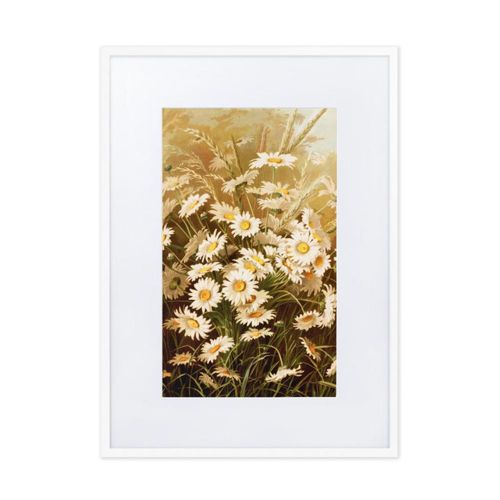 Margeriten - Poster im Rahmen mit Passepartout weiß / 50×70 cm artlia