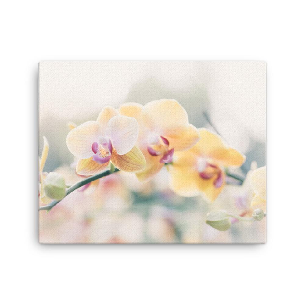 Orchid 01 - Leinwand 41x51 cm artlia