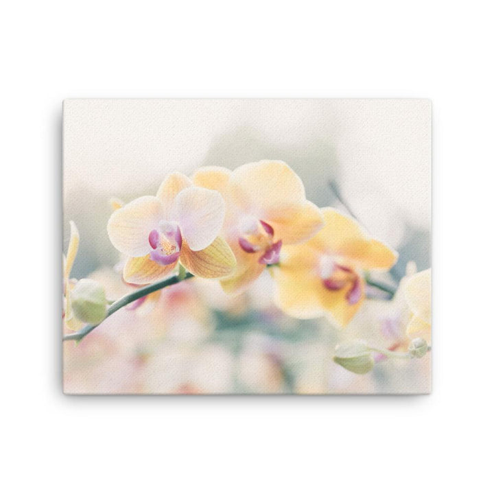 Orchid 01 - Leinwand 41x51 cm artlia