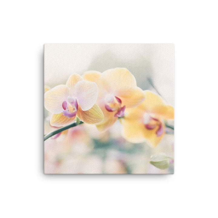 Orchid 01 - Leinwand 30x30 cm artlia