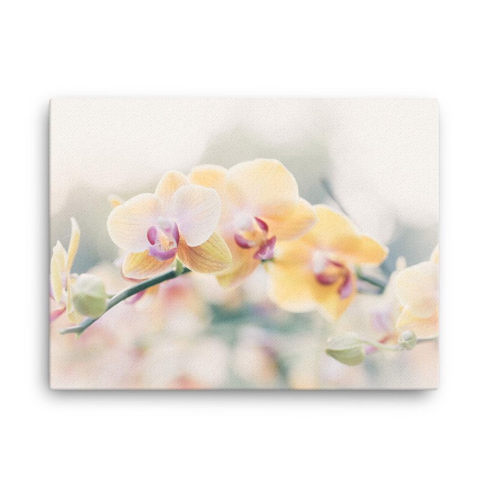 Orchid 01 - Leinwand 30x41 cm artlia