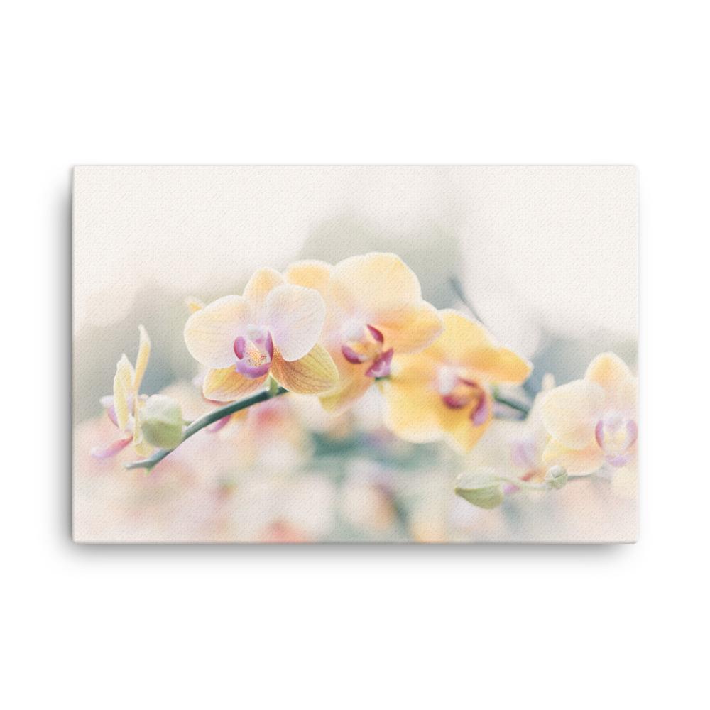 Orchid 01 - Leinwand 61x91 cm artlia