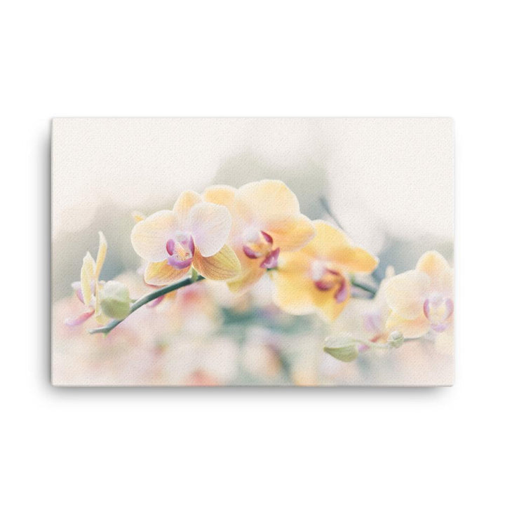 Orchid 01 - Leinwand 61x91 cm artlia