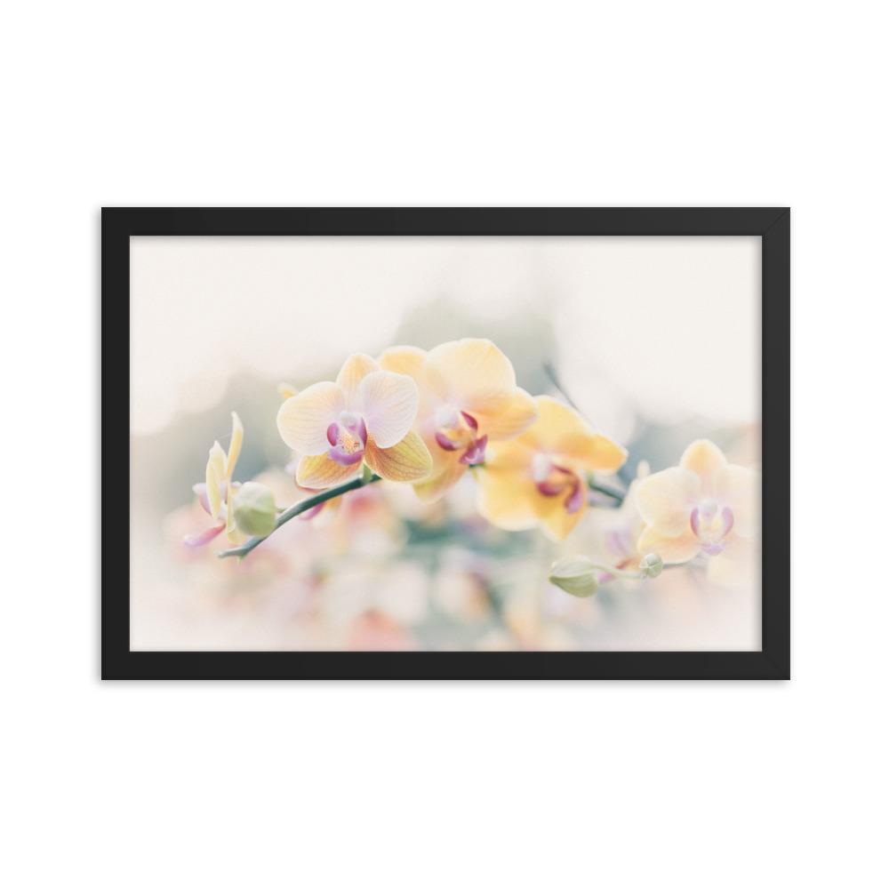 Orchid 01 - Poster im Rahmen schwarz / 30x45 cm artlia
