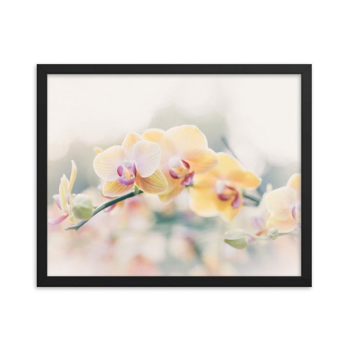 Orchid 01 - Poster im Rahmen schwarz / 41x51 cm artlia