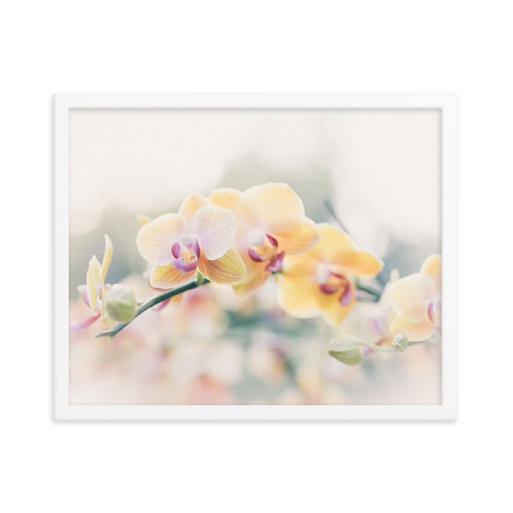 Orchid 01 - Poster im Rahmen weiß / 41x51 cm artlia