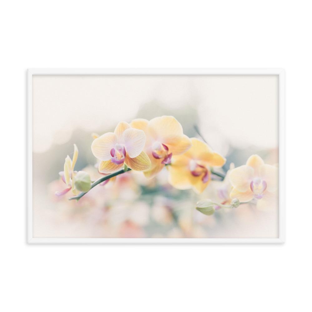 Orchid 01 - Poster im Rahmen weiß / 61x91 cm artlia