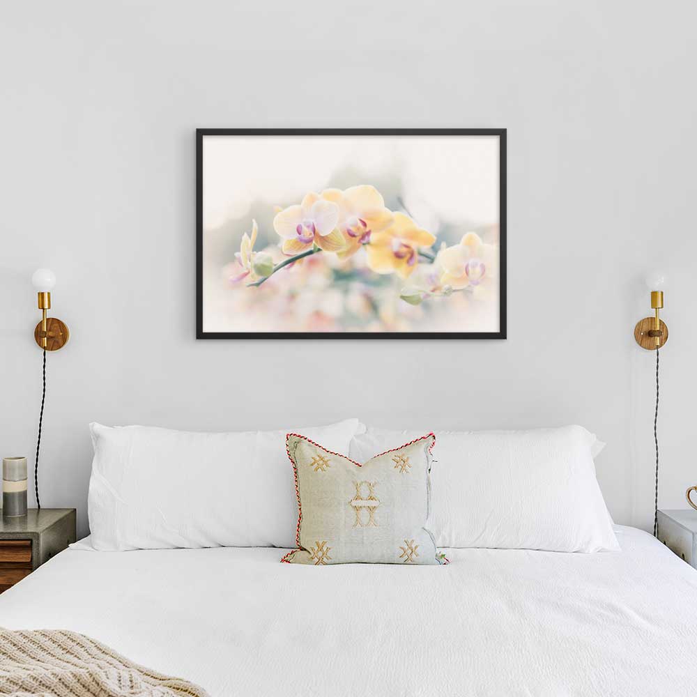 Orchid 01 - Poster im Rahmen artlia