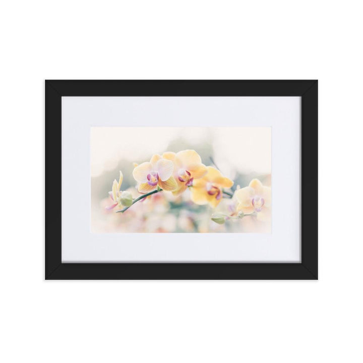 Orchid 01 - Poster im Rahmen mit Passepartout schwarz / 21×30 cm artlia