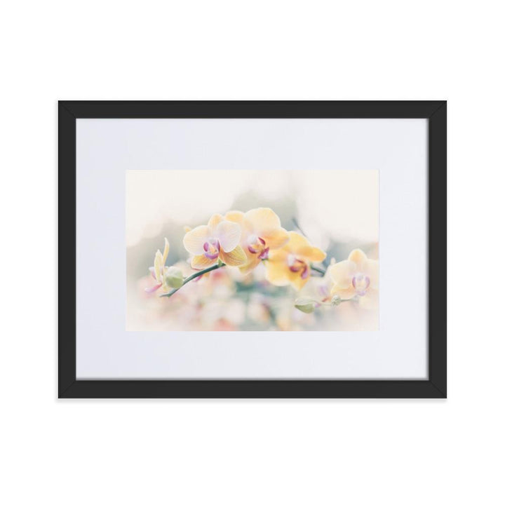 Orchid 01 - Poster im Rahmen mit Passepartout schwarz / 30×40 cm artlia