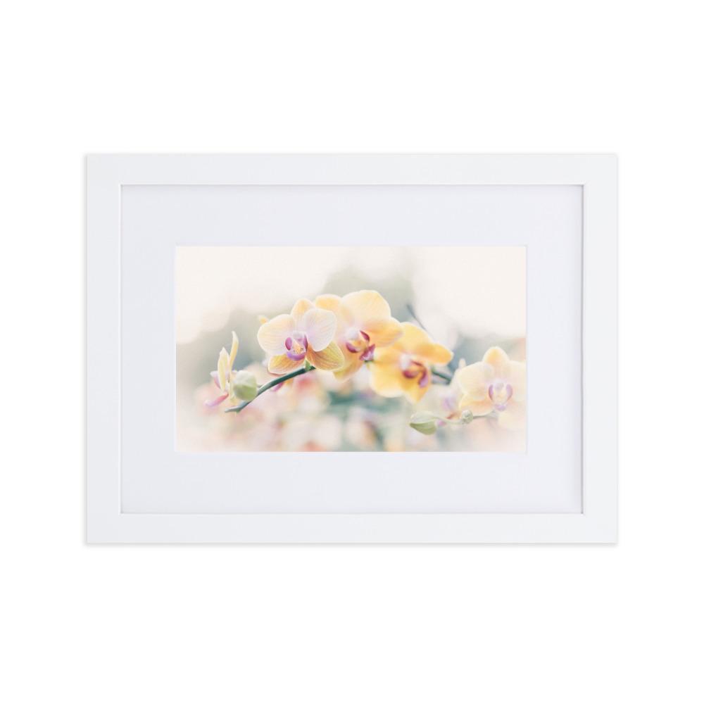 Orchid 01 - Poster im Rahmen mit Passepartout weiß / 21×30 cm artlia