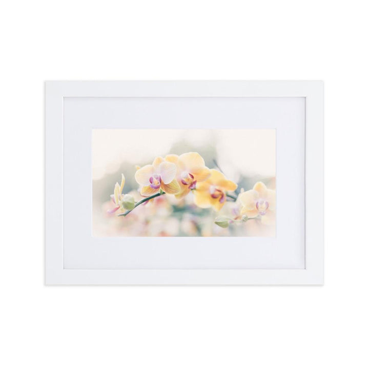 Orchid 01 - Poster im Rahmen mit Passepartout weiß / 21×30 cm artlia