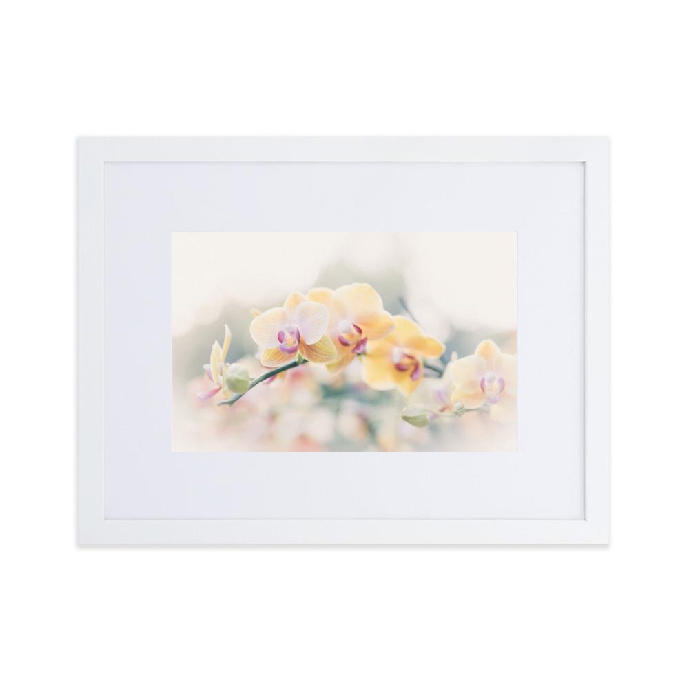 Orchid 01 - Poster im Rahmen mit Passepartout weiß / 30×40 cm artlia