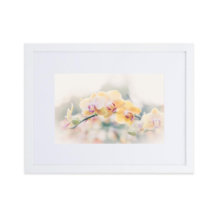 Orchid 01 - Poster im Rahmen mit Passepartout weiß / 30×40 cm artlia