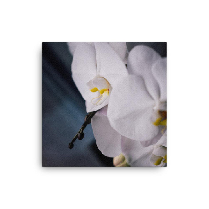 Orchid 02 - Leinwand 30x30 cm artlia