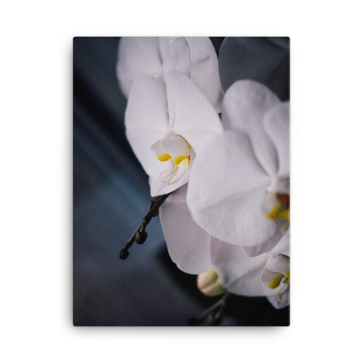 Orchid 02 - Leinwand 30x41 cm artlia