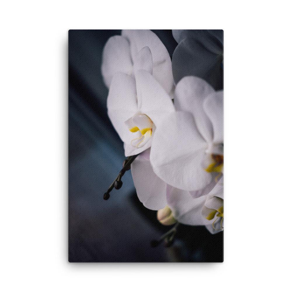 Orchid 02 - Leinwand 61x91 cm artlia