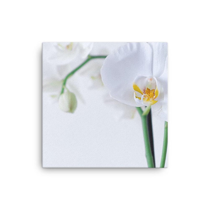 Orchid 03 - Leinwand 12×12 artlia