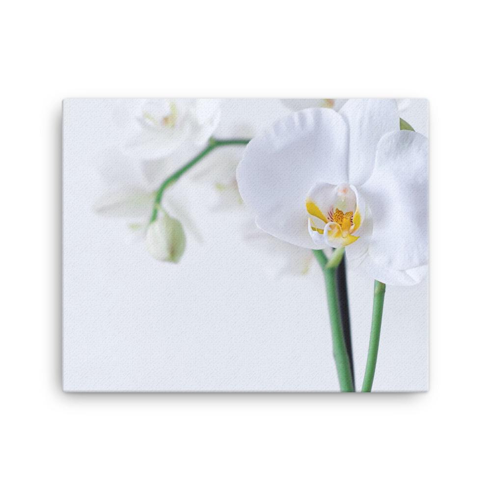 Orchid 03 - Leinwand 16×20 artlia