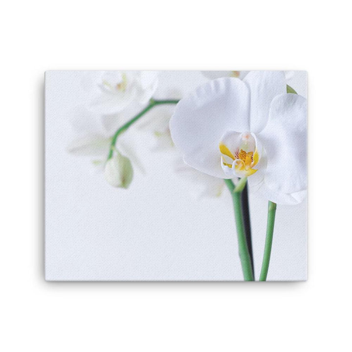 Orchid 03 - Leinwand 16×20 artlia