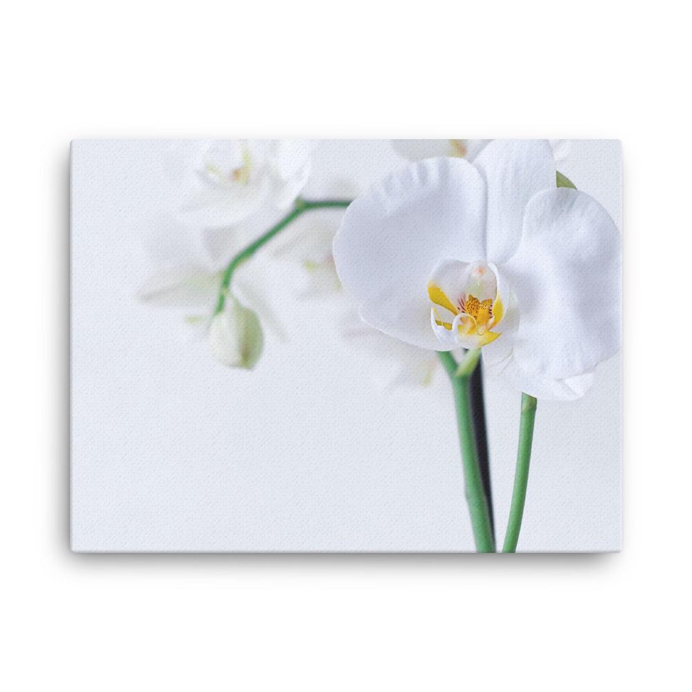 Orchid 03 - Leinwand 18×24 artlia