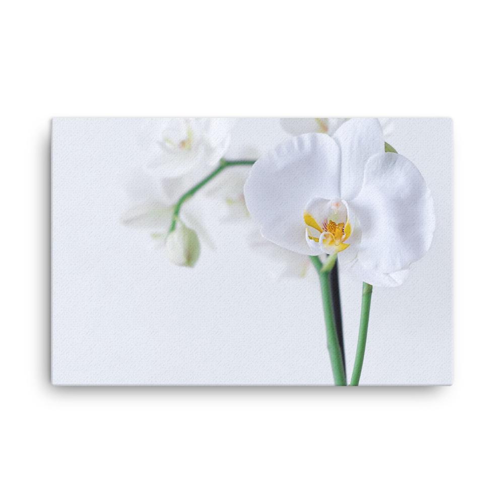 Orchid 03 - Leinwand 24×36 artlia