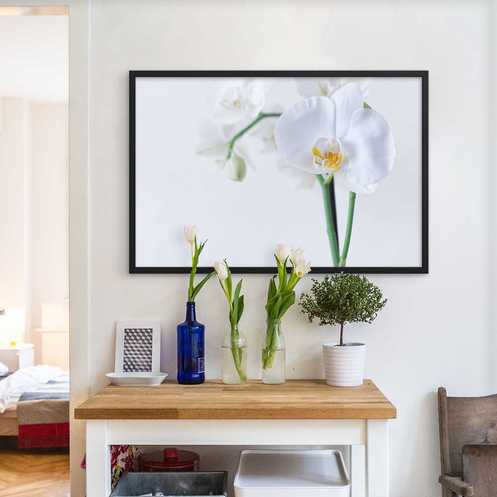 Orchid 03 - Poster im Rahmen artlia