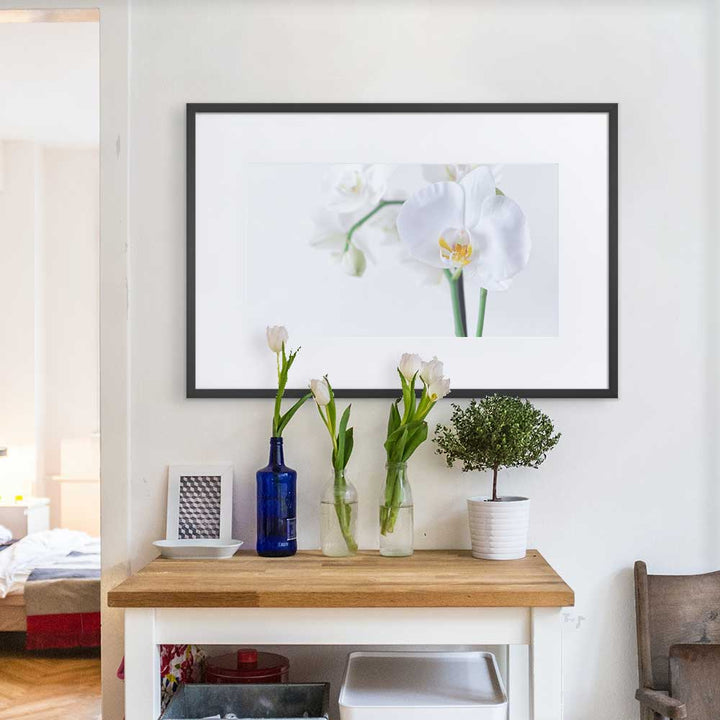 Orchid 03 - Poster im Rahmen mit Passepartout Schwarz / 61×91 cm artlia