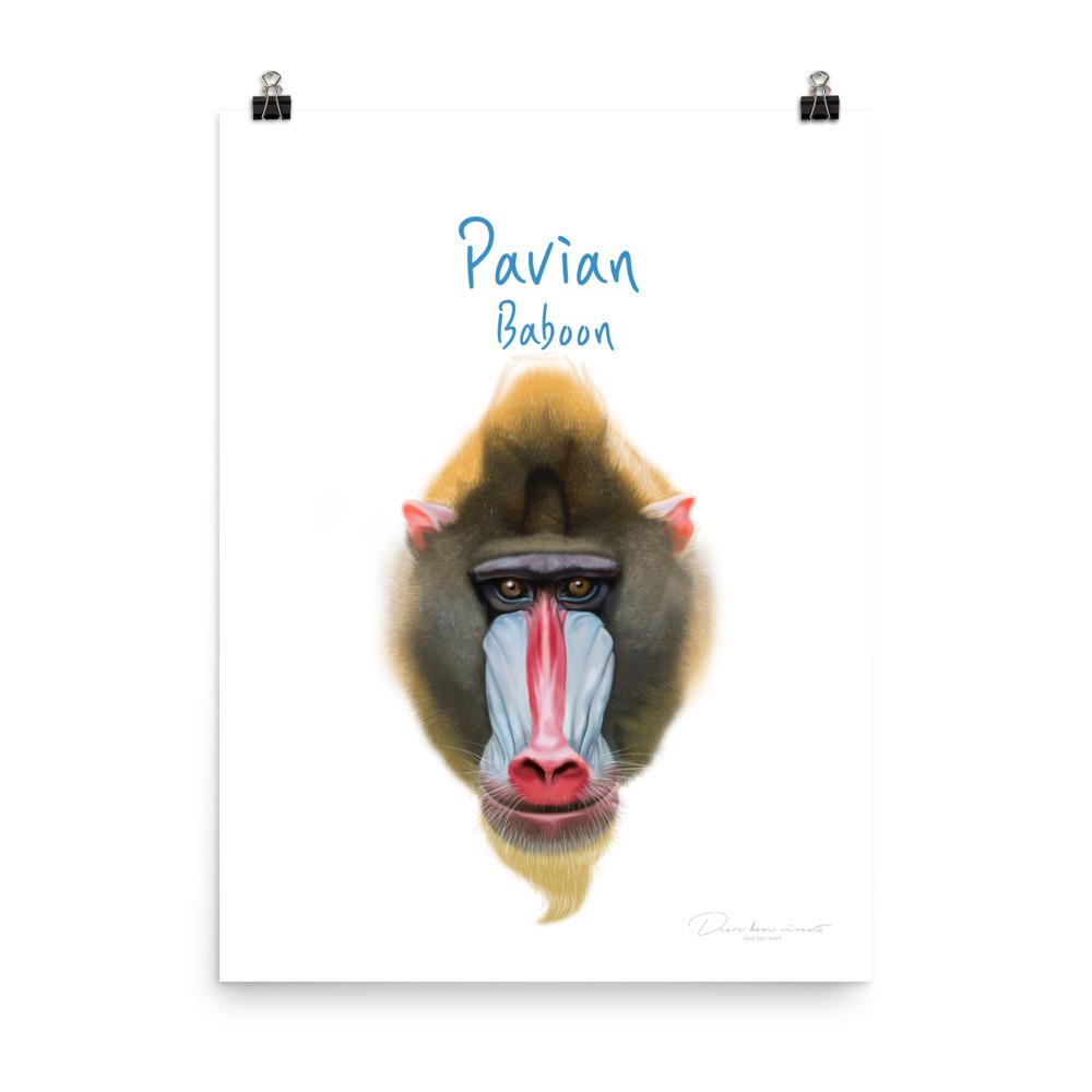 Pavian - Tier Poster für Kinder 30x41 cm artlia
