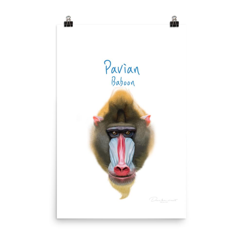 Pavian - Tier Poster für Kinder 30x46 cm artlia