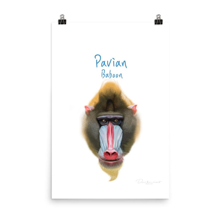 Pavian - Tier Poster für Kinder 30x46 cm artlia